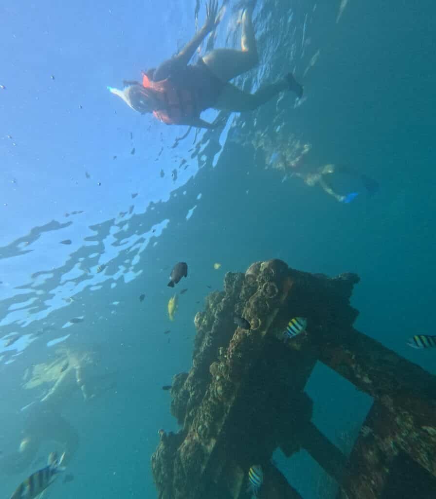 snorkeling amed