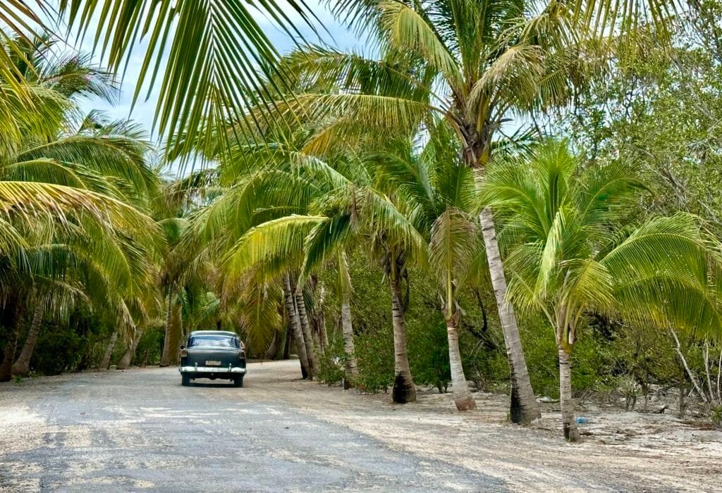 cayo jutias cuba en famille