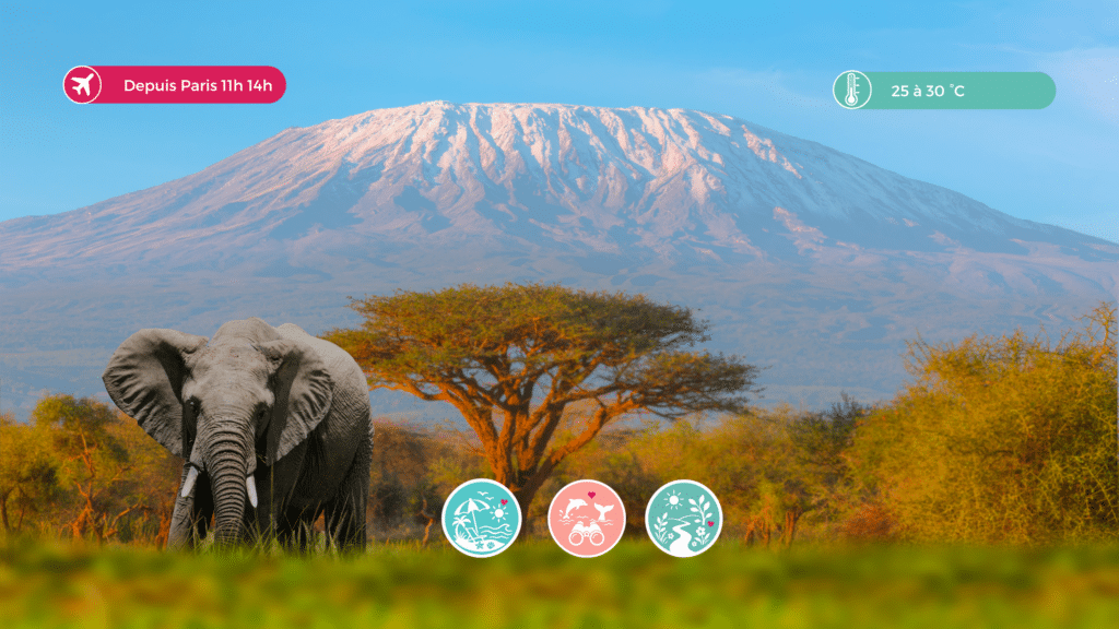 Tanzanie Kilimanjaro