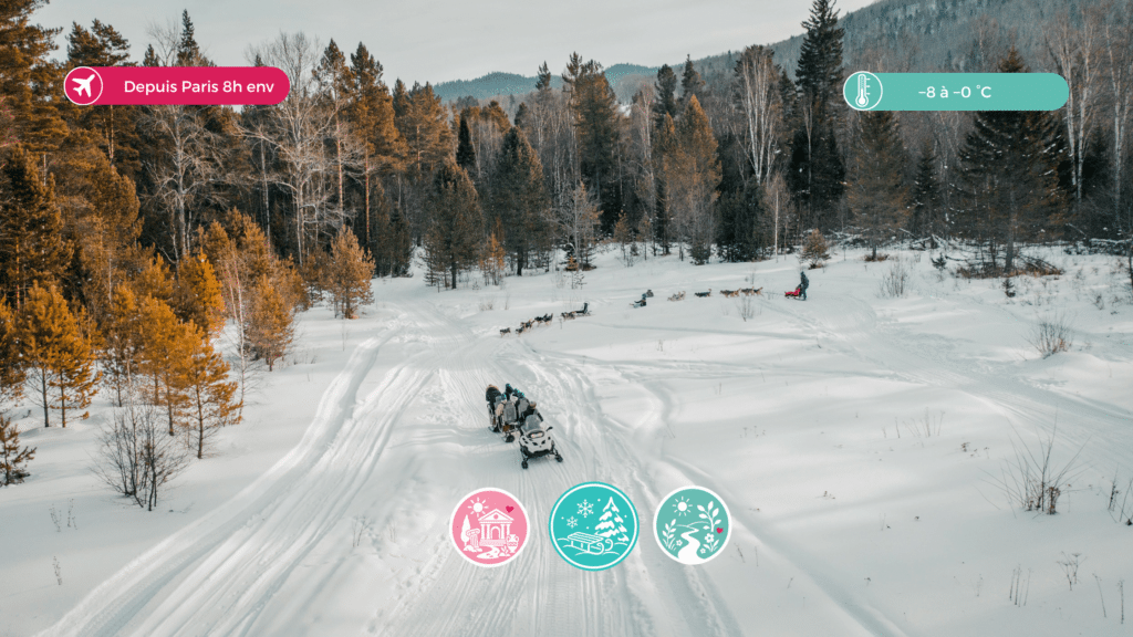 Québec en hiver activités chien de traineau